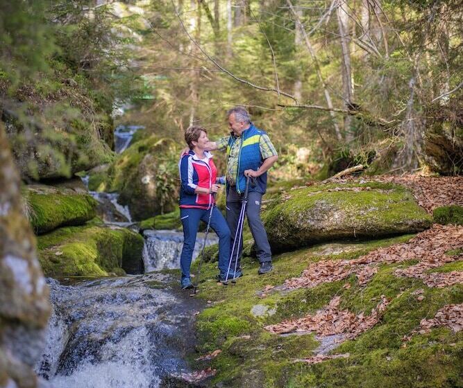 Отель Königswieser Hof