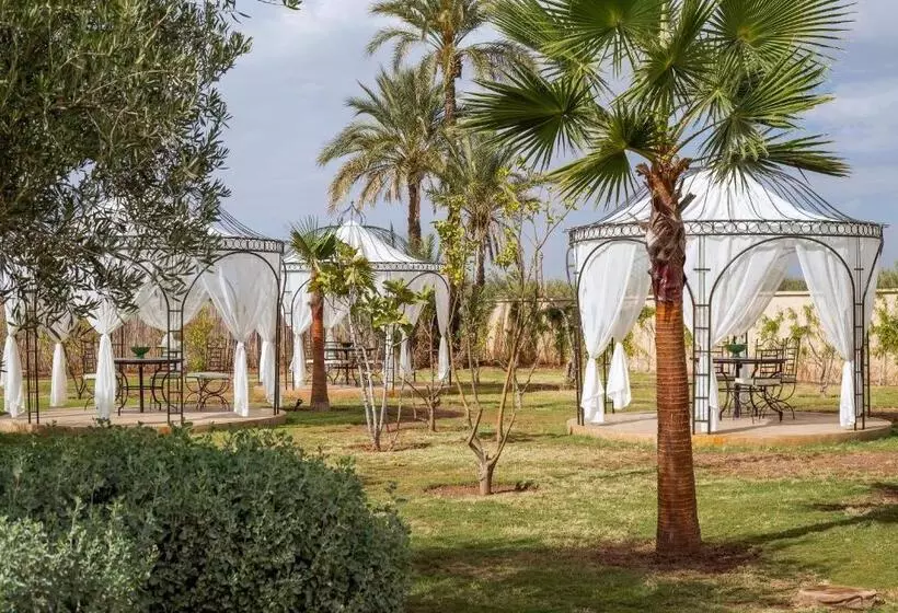 Majatalo Maison Daouia