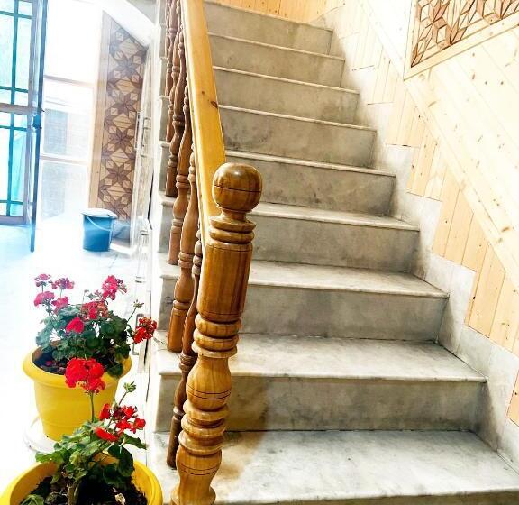 Pensão Pop Home 70354 Adobe