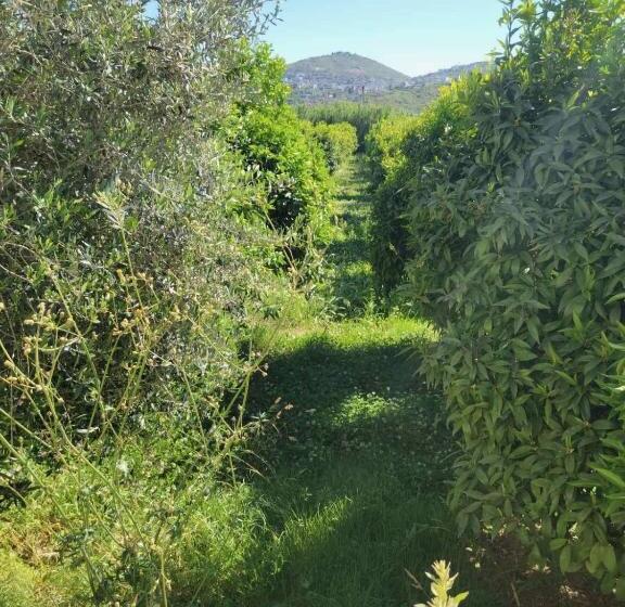 هتل El Rancho Kidheri