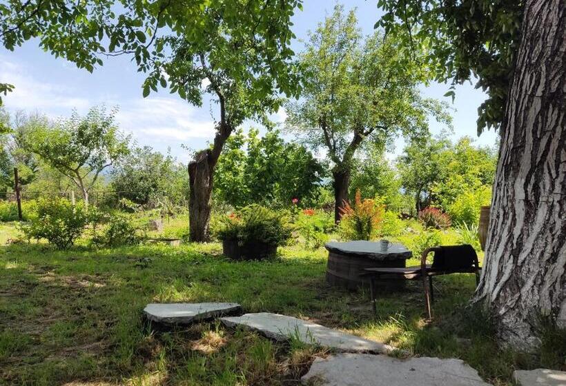 پانسیون Aloni Green Acres