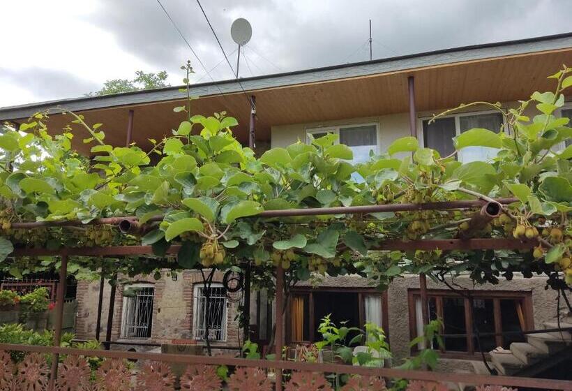 پانسیون Aloni Green Acres