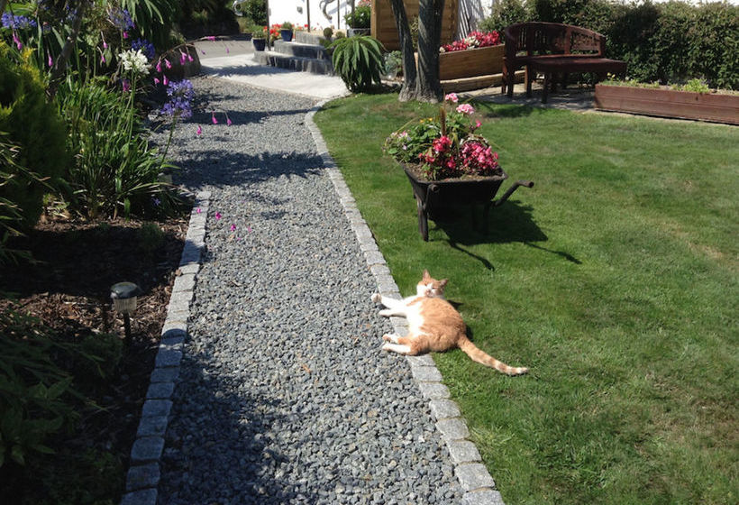 צימר Blue Horizon