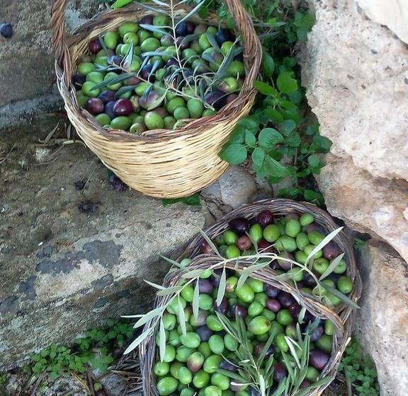 בית מלון כפרי Al Palmento Cruillas