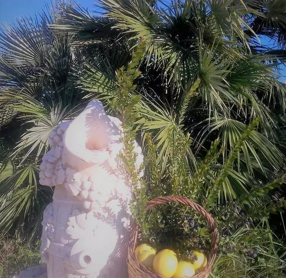 酒店 Al Palmento Cruillas