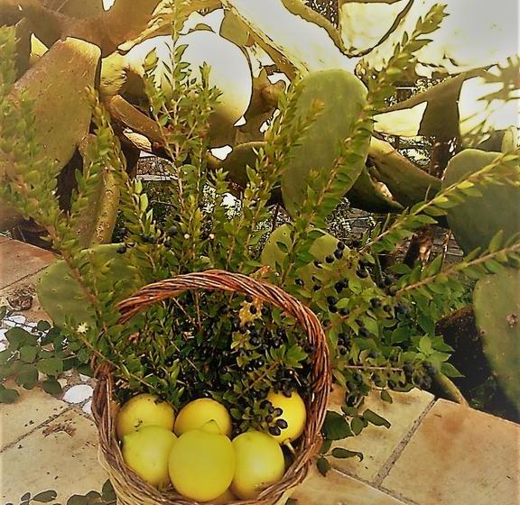 בית מלון כפרי Al Palmento Cruillas