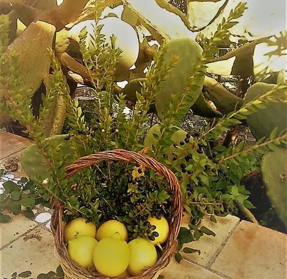 酒店 Al Palmento Cruillas