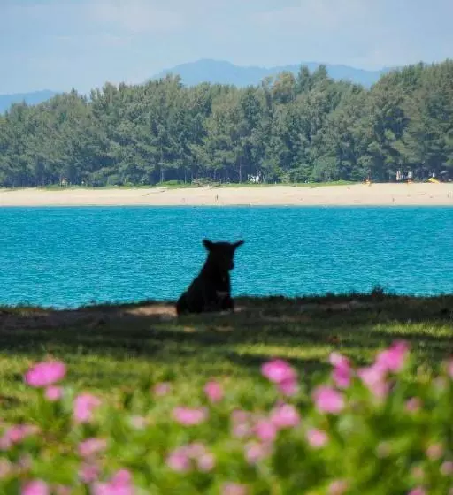 Ideo Phuket Hotel   Sha Extra Plus