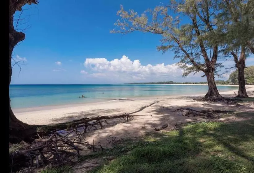 Ideo Phuket Hotel   Sha Extra Plus