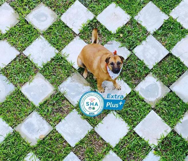 Ideo Phuket Hotel   Sha Extra Plus