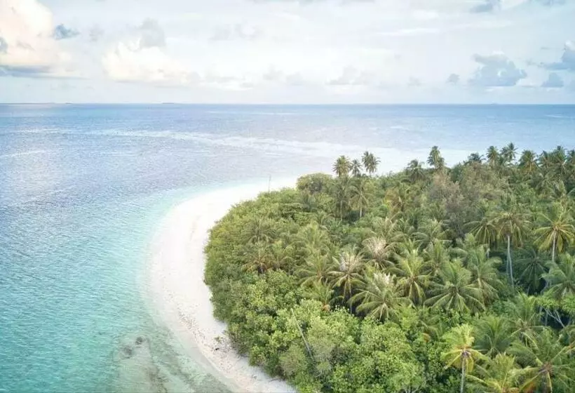 پانسیون Ayira Maldives