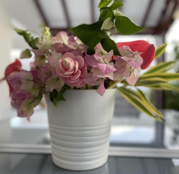 تختخواب و صبحانه River Side