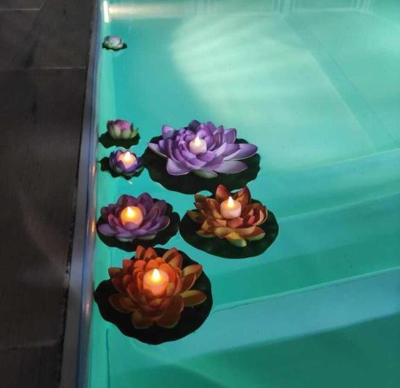 تختخواب و صبحانه River Side