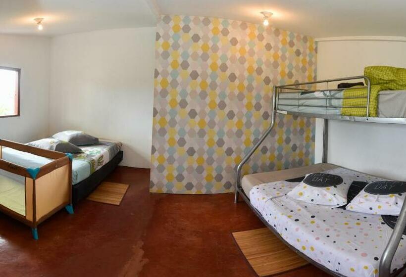 پانسیون La Maison Des Oeillets Aéroport Roland Garros