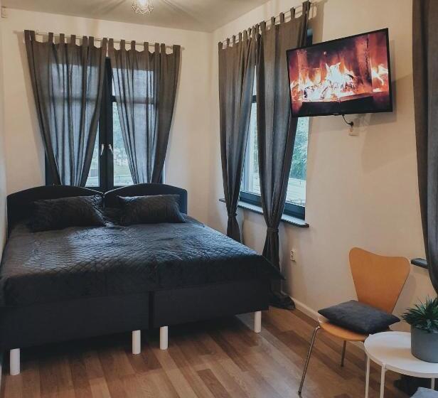 پانسیون Valet Apartment