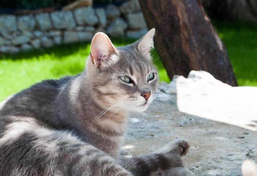 تختخواب و صبحانه Casale Petrarolo