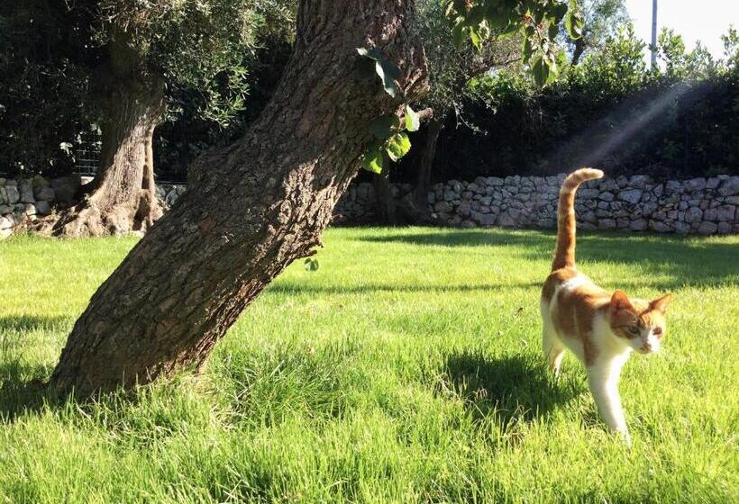 تختخواب و صبحانه Casale Petrarolo