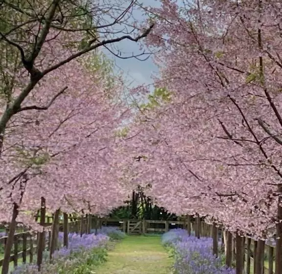 ベッドアンドブレックファースト English Cherry Tree Manor