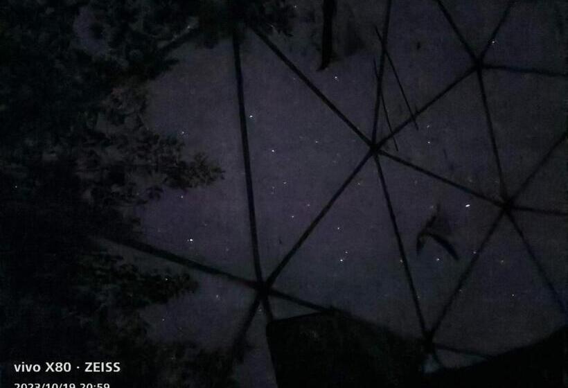 住宿加早餐  English Cherry Tree Manor