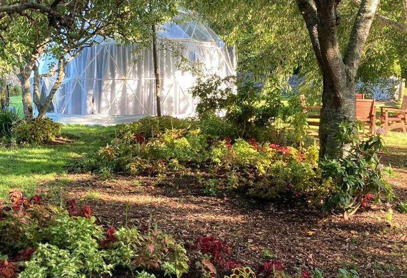 住宿加早餐  English Cherry Tree Manor