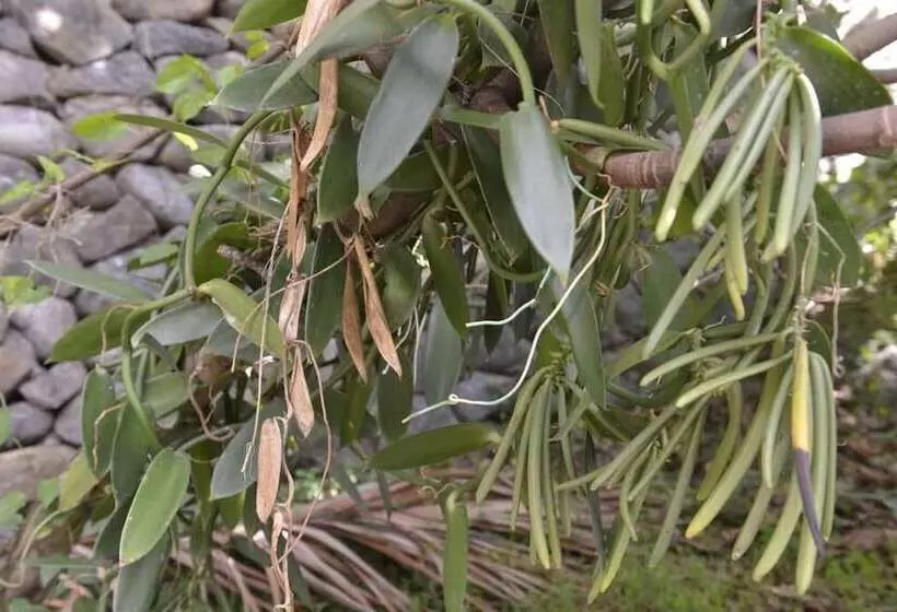 تختخواب و صبحانه Villa Des Remparts