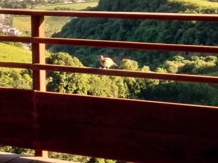 تختخواب و صبحانه Villa Des Remparts