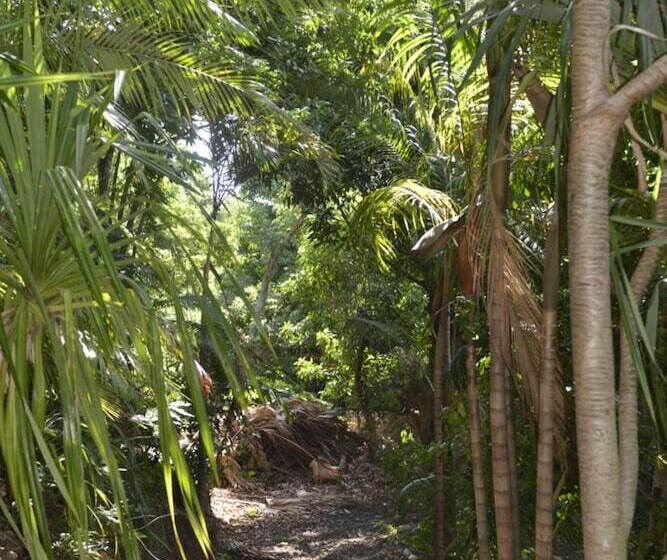 تختخواب و صبحانه Villa Des Remparts