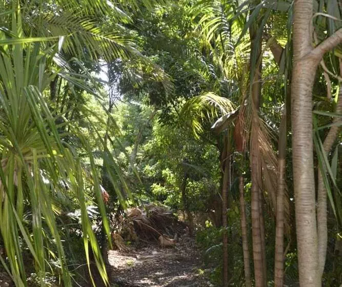 تختخواب و صبحانه Villa Des Remparts