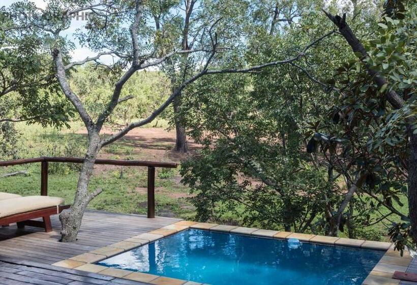Отель Ndlovu Safari Lodge