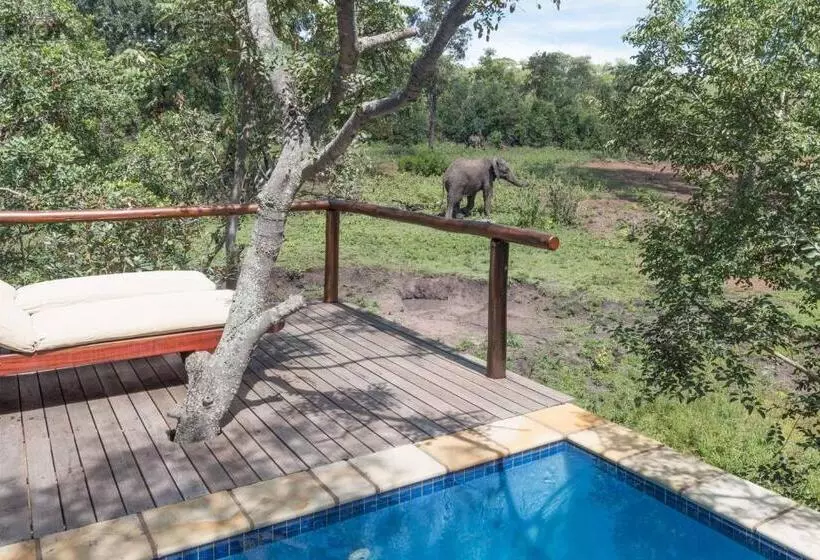 ホテル Ndlovu Safari Lodge