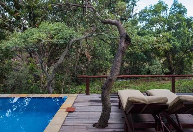 ホテル Ndlovu Safari Lodge