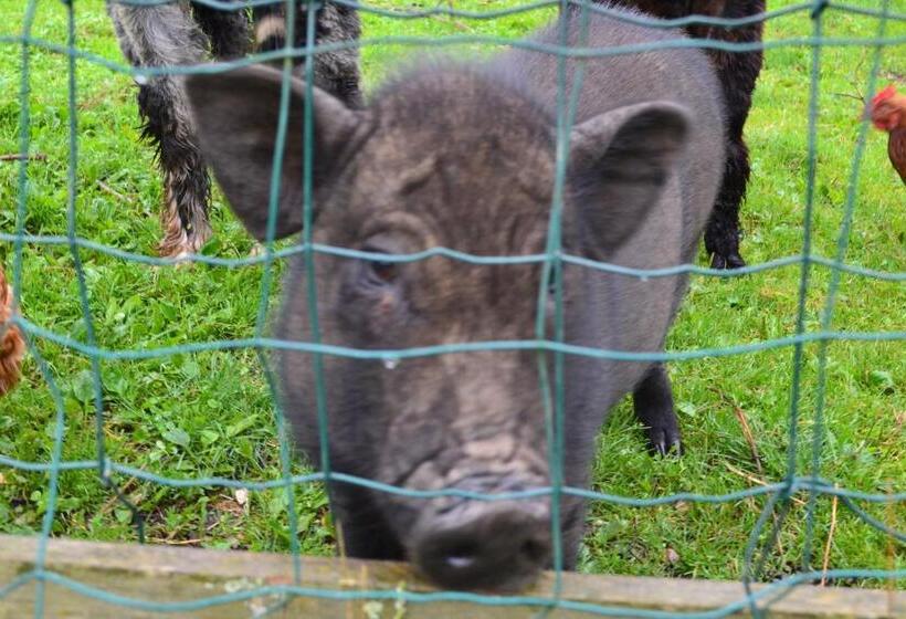 Пансион Le Paradis Des Animaux