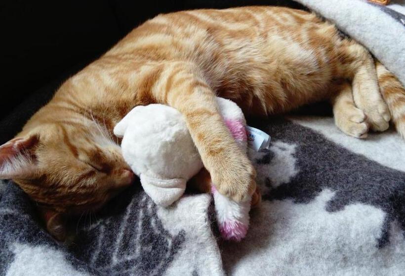 Пансион Le Paradis Des Animaux