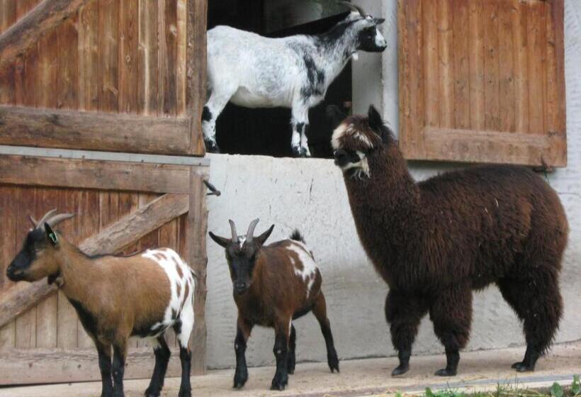 Пансион Le Paradis Des Animaux