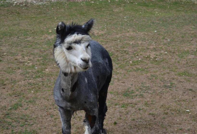 Пансион Le Paradis Des Animaux