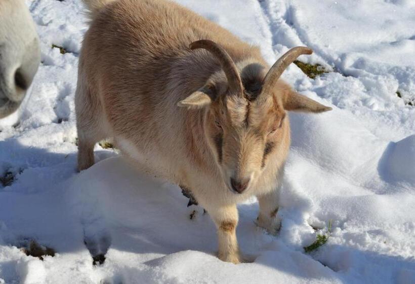 Пансион Le Paradis Des Animaux