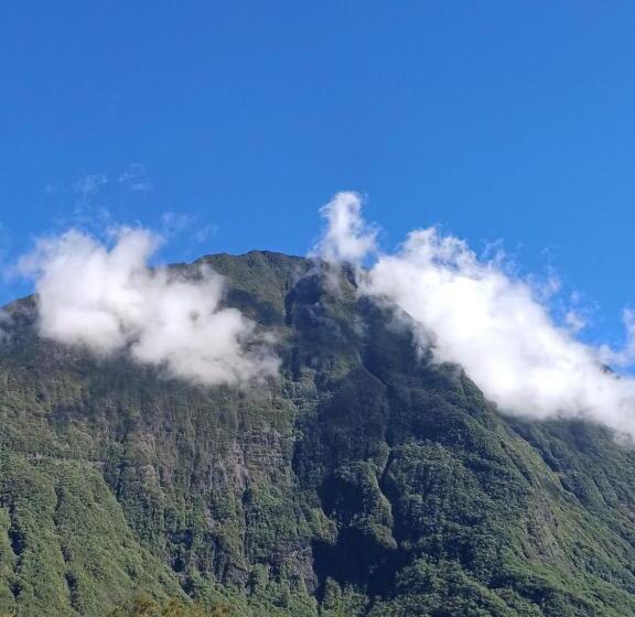 پانسیون Porte De Mafate Grand Ilet