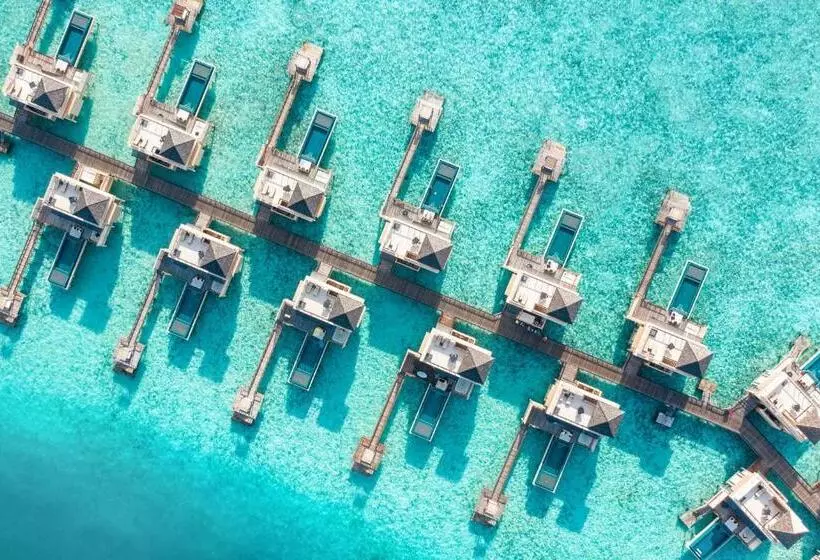 استراحتگاه Angsana Velavaru In Ocean Villas   All Inclusive Select With 20 Percent Off On Return Sea Plane Tran