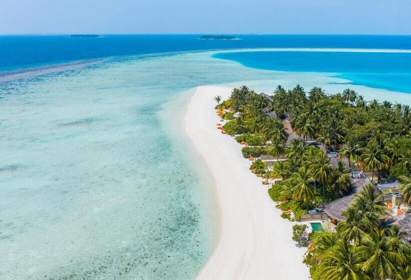 استراحتگاه Angsana Velavaru In Ocean Villas   All Inclusive Select With 20 Percent Off On Return Sea Plane Tran