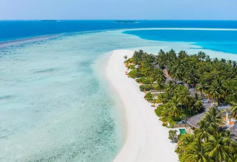 استراحتگاه Angsana Velavaru In Ocean Villas   All Inclusive Select With 20 Percent Off On Return Sea Plane Tran