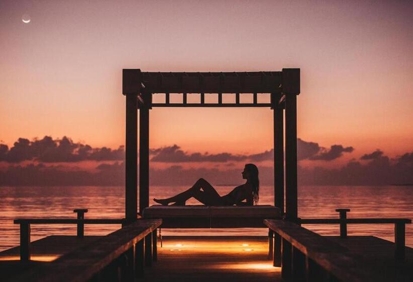 استراحتگاه Angsana Velavaru In Ocean Villas   All Inclusive Select With 20 Percent Off On Return Sea Plane Tran