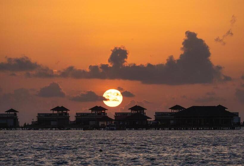 استراحتگاه Angsana Velavaru In Ocean Villas   All Inclusive Select With 20 Percent Off On Return Sea Plane Tran