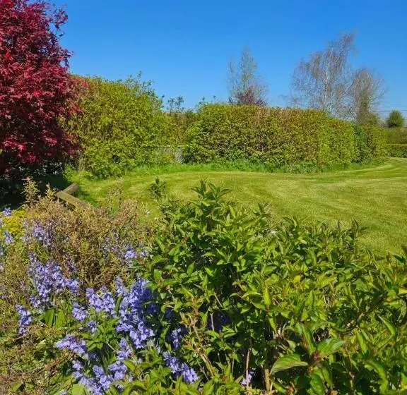 Aamiaismajoitus (B&B) Ard Aoibhinn Roscommon