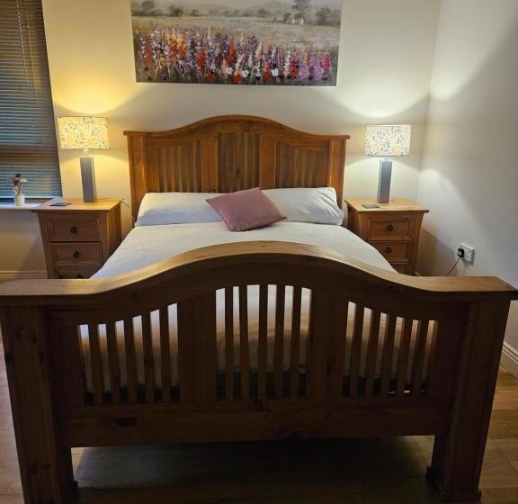 Bed and Breakfast Ard Aoibhinn Roscommon