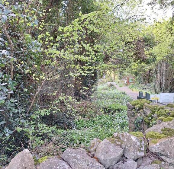 Bed and Breakfast Ard Aoibhinn Roscommon