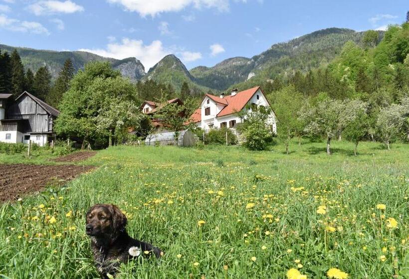 هتل Turistična Kmetija Stoglej