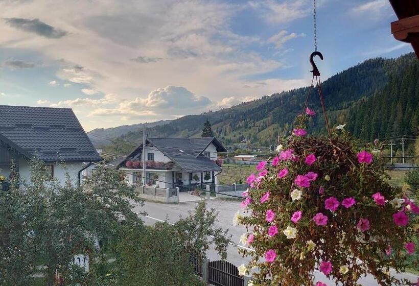 Pensão Casa Viorica și Luis