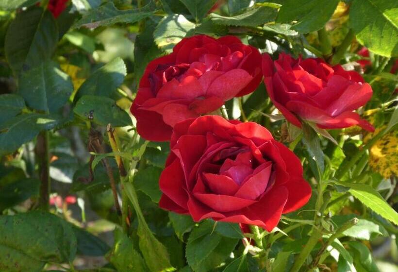 膳宿费 Chambre D Hote Le Sablonnet