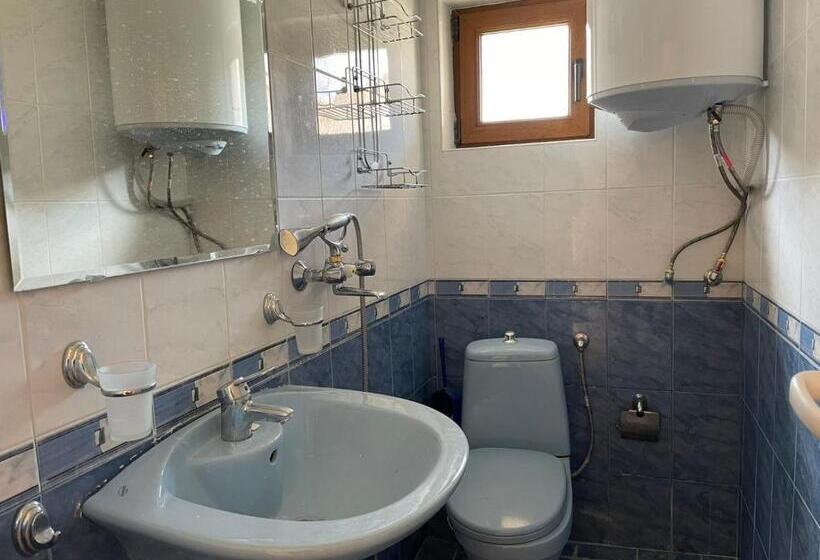 פנסיון Villa Elina