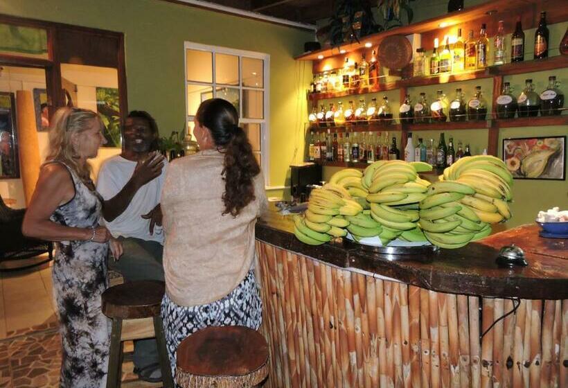 هاستل Hibiscus Valley Inn